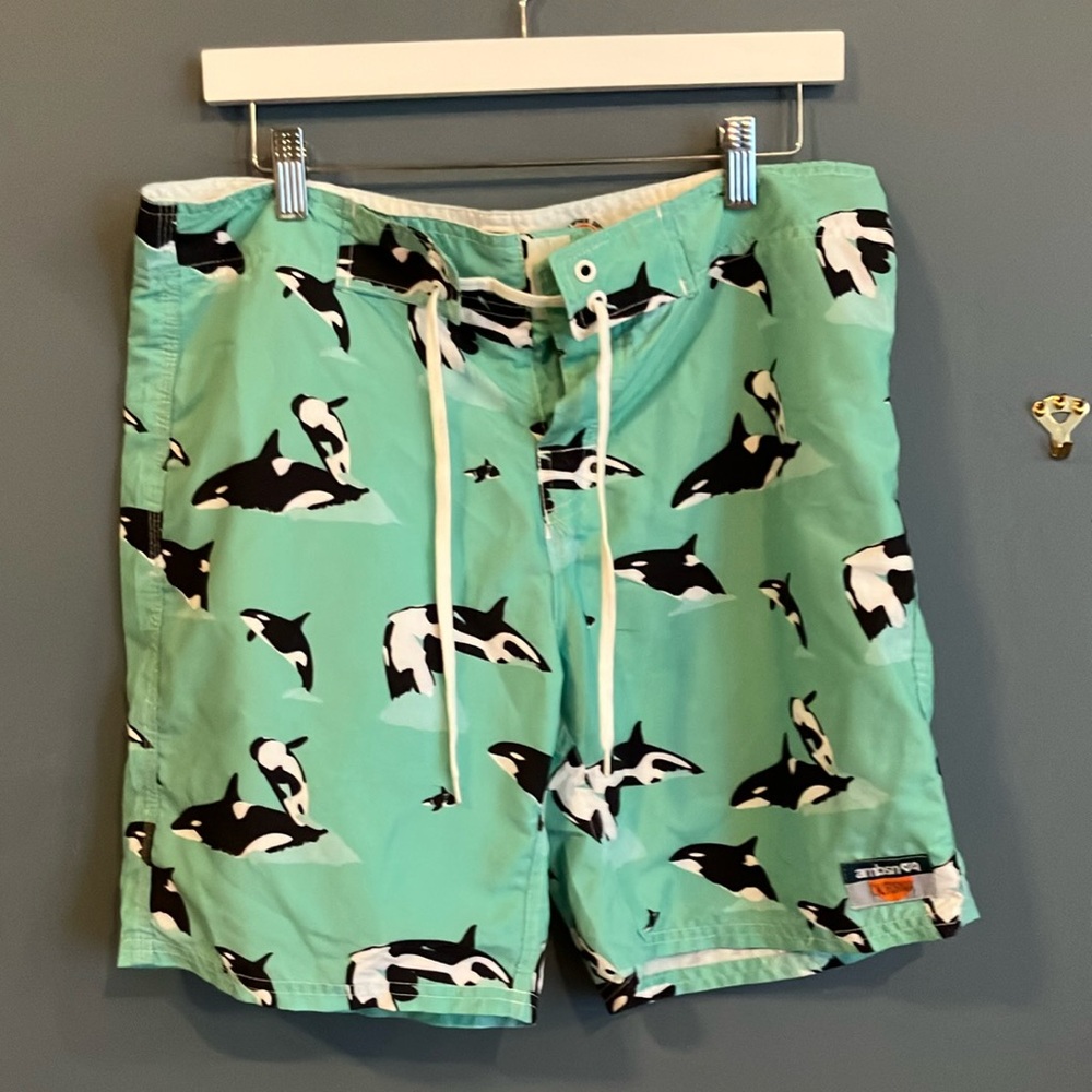 Ambsn Mint Green Orca Swim Shorts